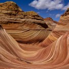 The Wave